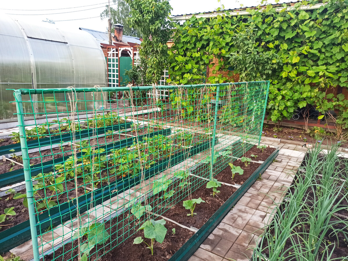 Фотография из личного архива