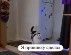 Источник: Readovka 