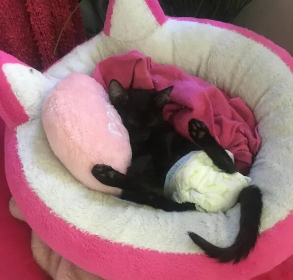 Спинальник Ричард получил новую семью