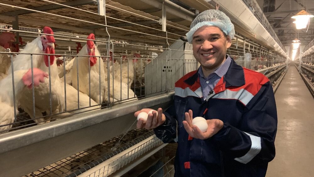 Яйца прямо из-под курочек