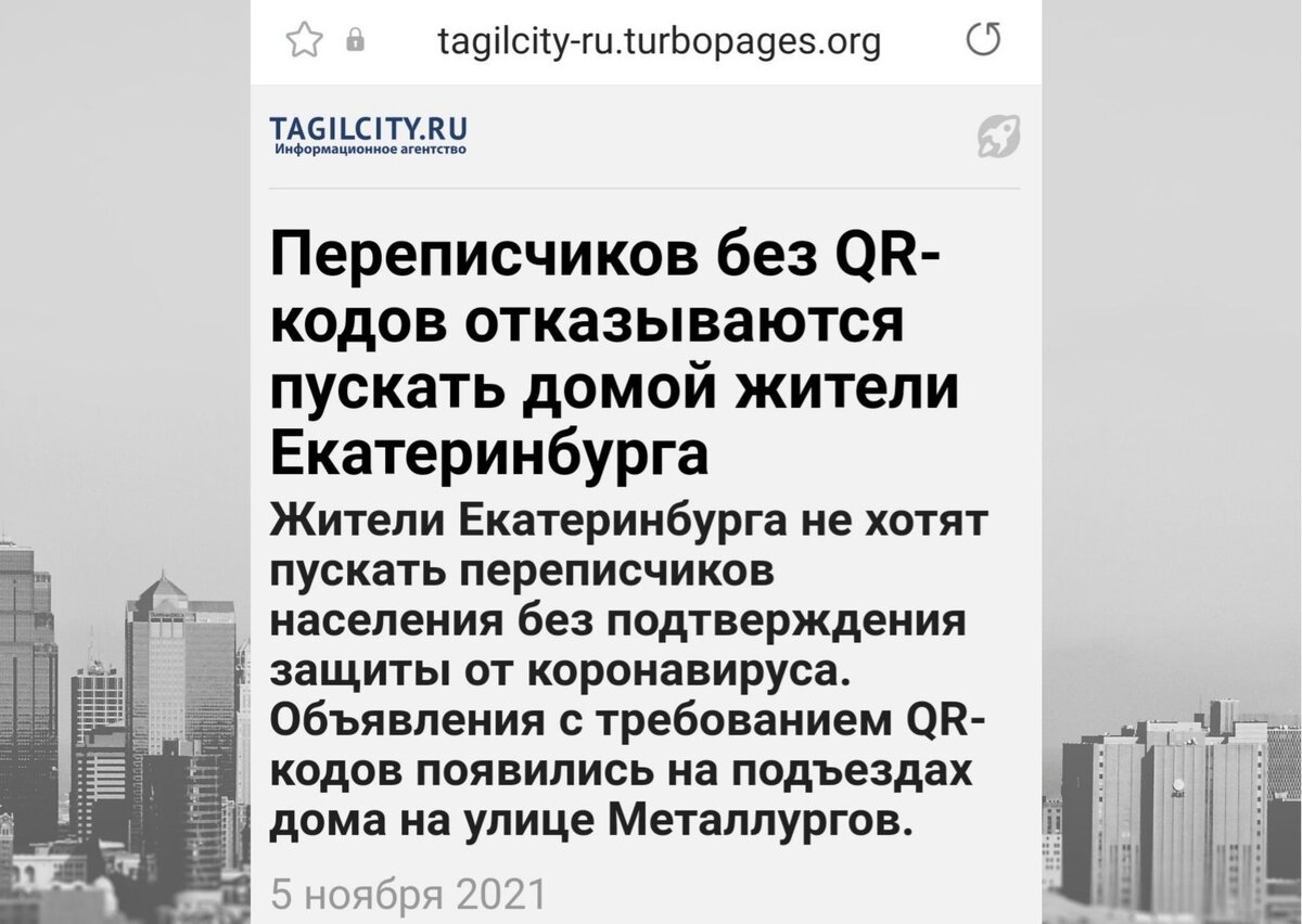 Ни золота не купить, ни булочку — как мы прожили первую неделю в QR-антине  | Следом за котом | Дзен