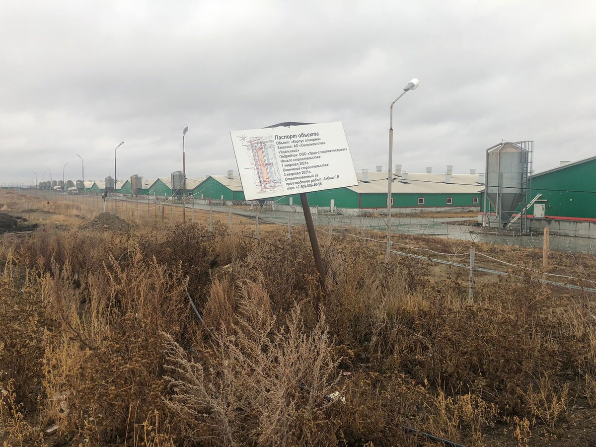 Для переноса свинокомплекса из Полевского в Богданович практически готова  производственная площадка | ПроПолевской / Диалог | Дзен