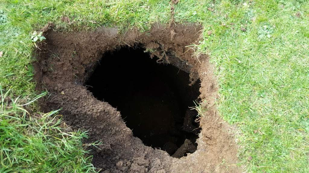 Фото из открытого источника