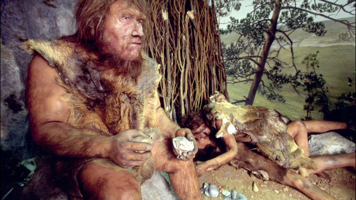 Дробышевский неандертальцы