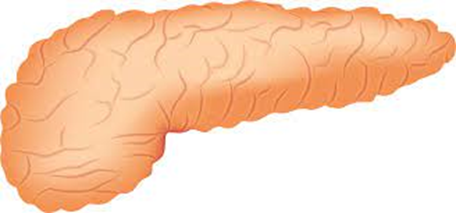 Pancreatita cronică, cauzele dezvoltării sale și cum distruge pancreasul?