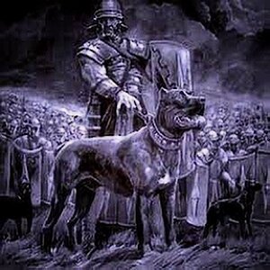 Молосс в Римской армии