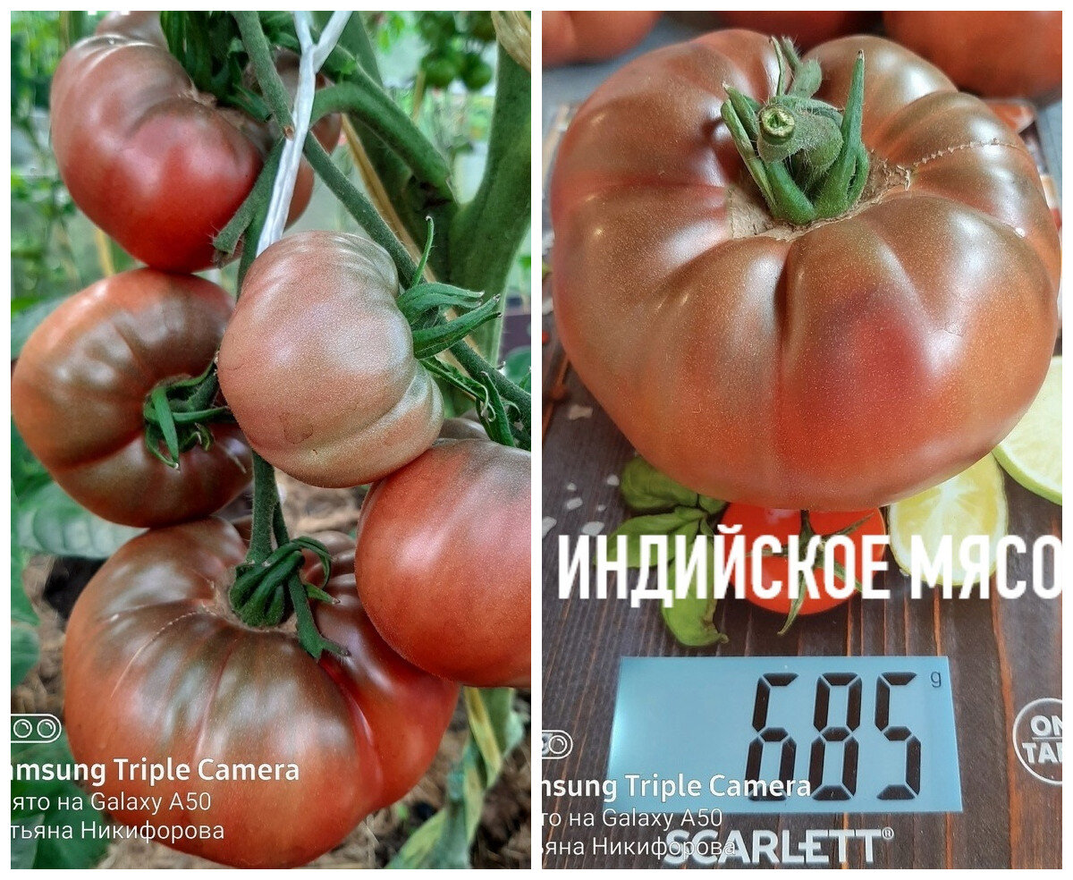 Индийское мясо