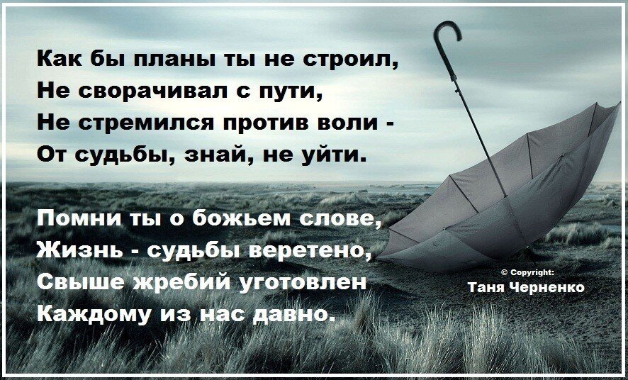 Знает как это удобно ведь нельзя исключить вероятность сквозняка на кухне или