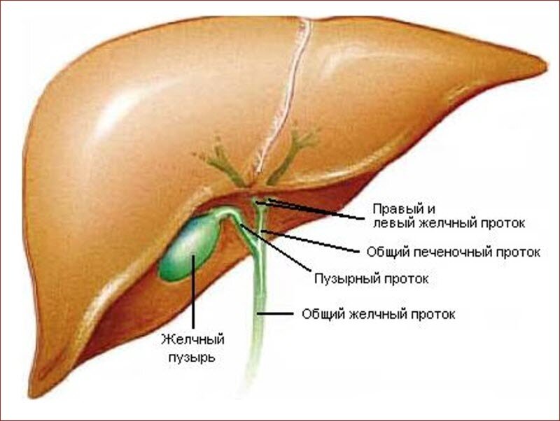 фото источник mc-profi.ru