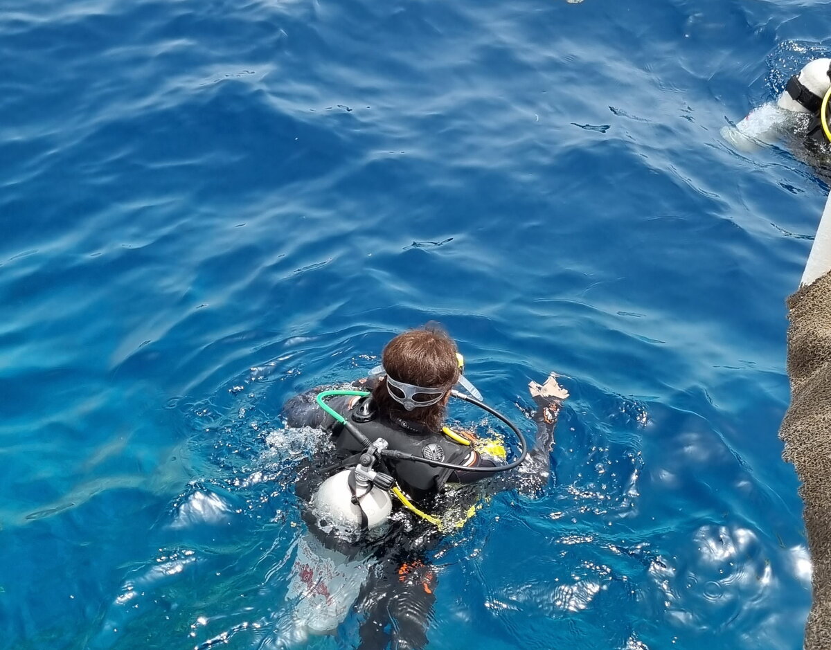 Дайверы пошли погружаться