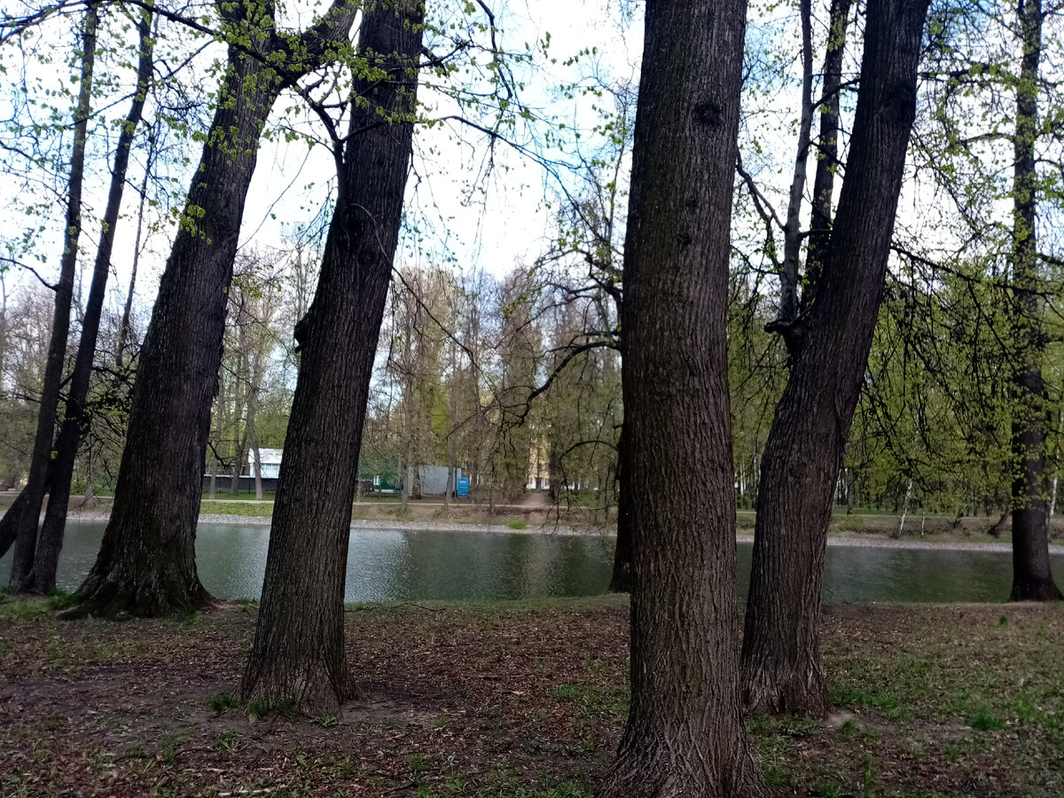 Верхний Михалковский пруд