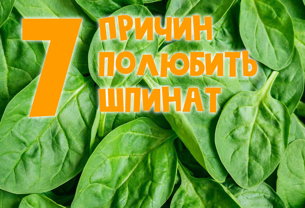 Calorizator.ru