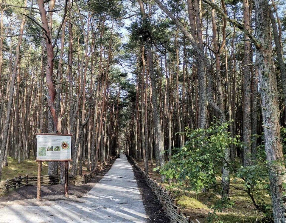     .  Нацпарк «Куршская коса»