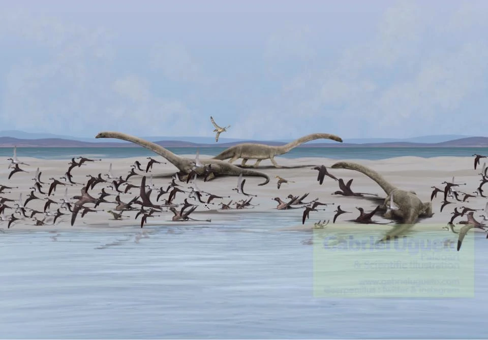 Лежбище танистрофеев. Работа Габриэля Угуэто