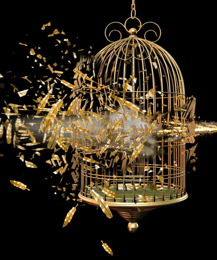 Фото из Интернета