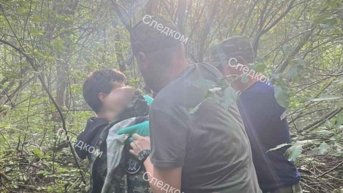    Пропавший в Великоустюгском районе Вологодской области 3-летний ребенок найден живым© Фото : СУСК РФ Вологодская область