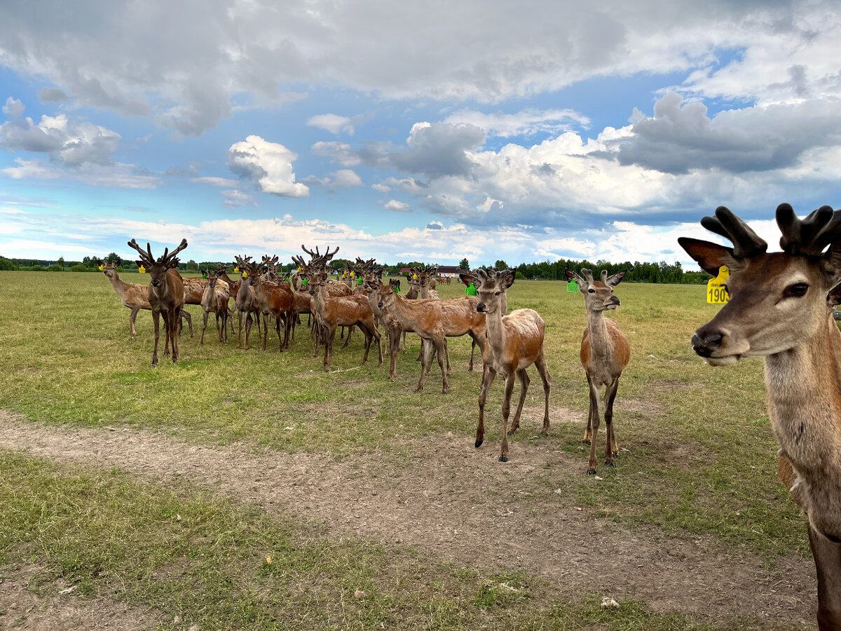 Источник фото: пресс-служба правительства Нижегородской области 
