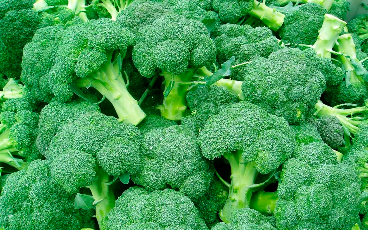 Брокколи