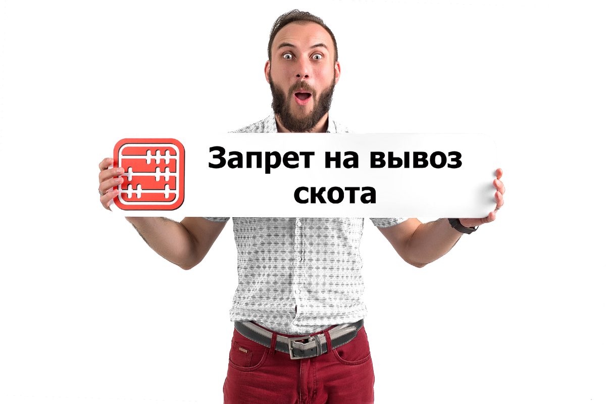 Вводится запрет на вывоз скота | Интернет бухгалтерия MyBuh.kz | Дзен