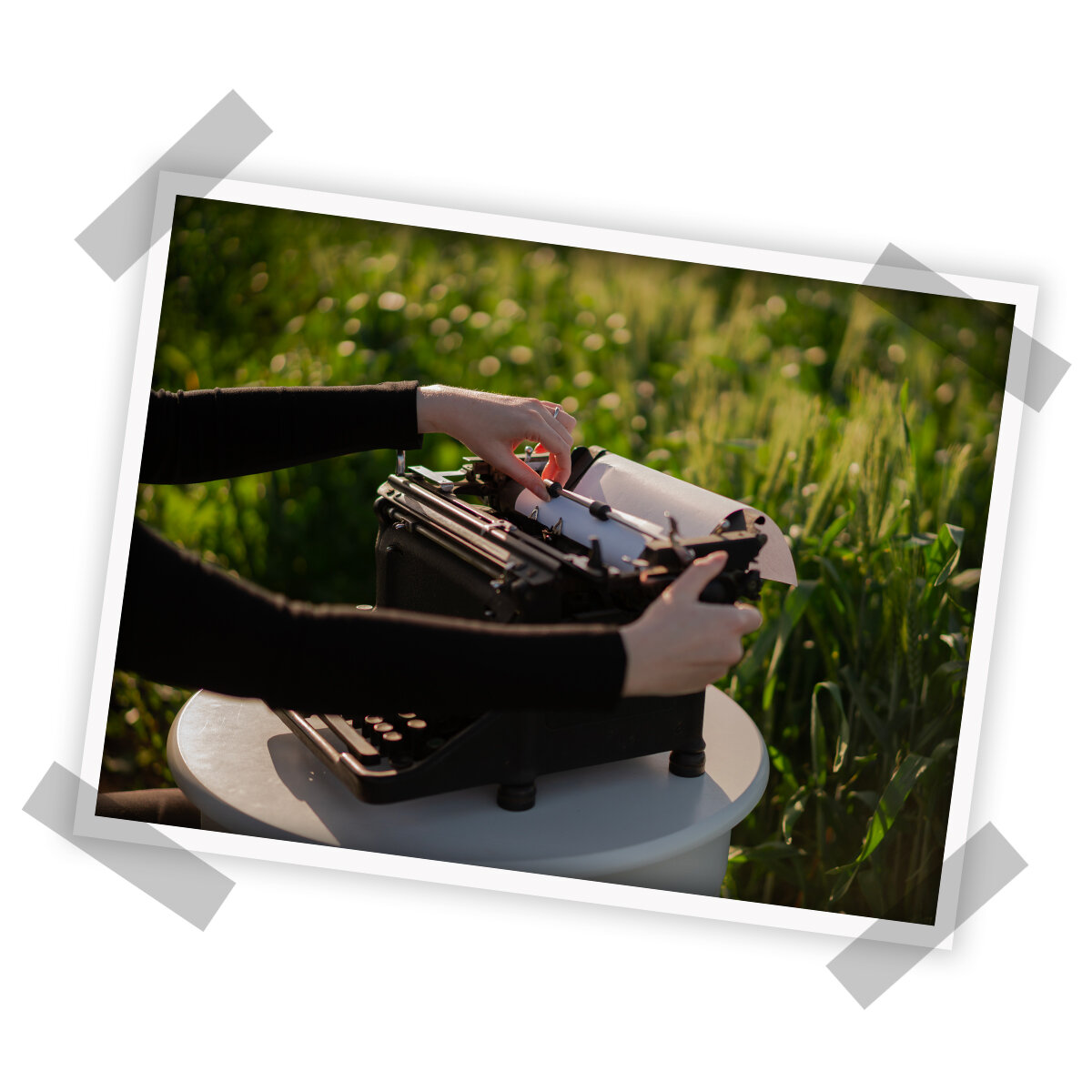 Иллюстрации: Ольга Кириллова