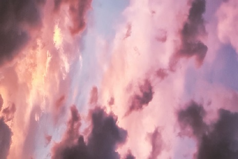 Изображение из открытого источника. Unsplash