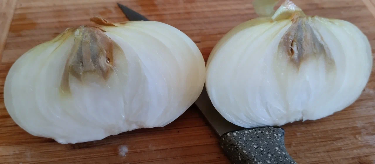 Больной лук