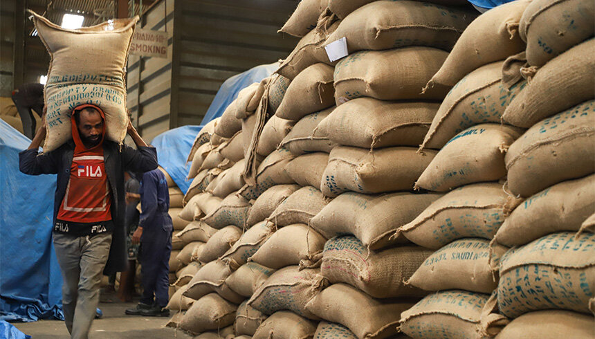 Эфиопия запретила вывоз кофе. Кофе арабика эфиопия плантации. Эфиопия запретила вывоз кофе. Эфиопия запретила вывоз кофе. Эфиопия запретила вывоз кофе.