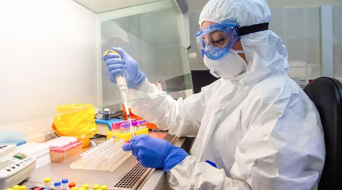 Фото – kubannews.ru