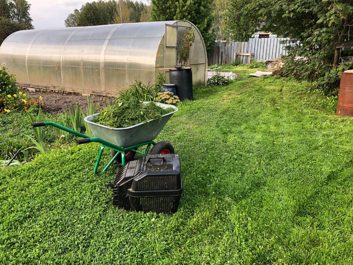 Слева также растут цветы. Часть мама уже убрала в компост. Фото автора