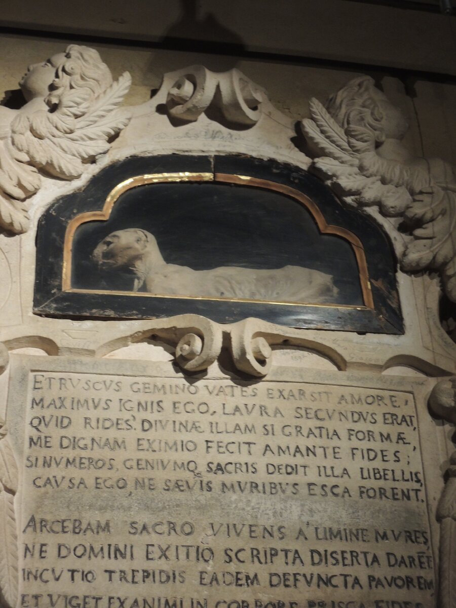 Средневековая кошка