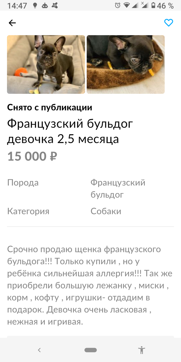 Скриншот объявления