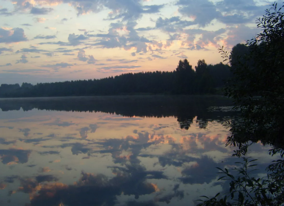 Озеро светлояр фото под водой