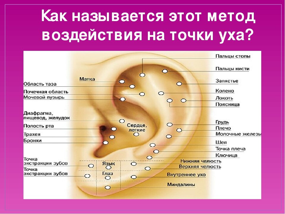 Массаж ушей для улучшения. Точки акупунктуры на ушной раковине. Ушная раковина точки акупунктуры органов. Схема точек акупунктуры ушной раковины. Акупунктурные точки уха схема.