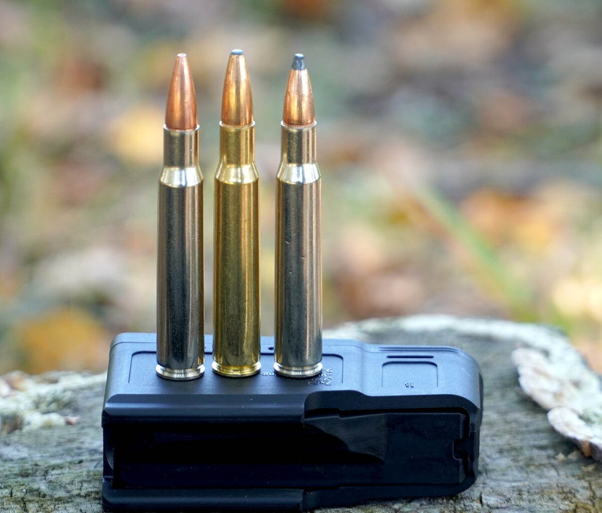 Слева направо: Federal Premium Barnes TSX, Federal Power Shok, Federal Premium Sierra GameKing Boat-Tail Soft Point