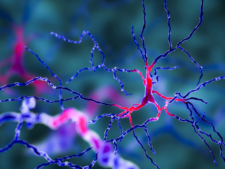 Течение различных заболеваний. Нейрон фото под микроскопом. Нервы фото биология. Волокна голубой ткани под микроскопом. Motor neuron disease.
