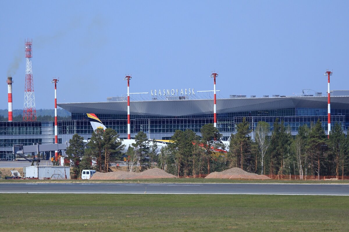 Рояль в кустах