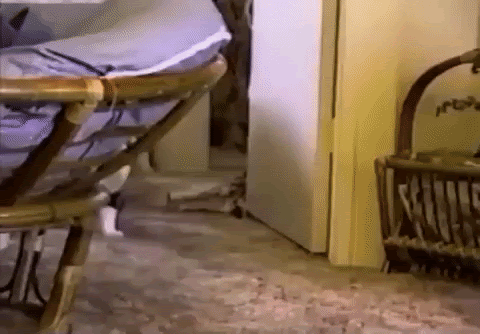 На выписку можно пойти с другом Источник: https://giphy.com/gifs/room-E0cyxhawhe9dm