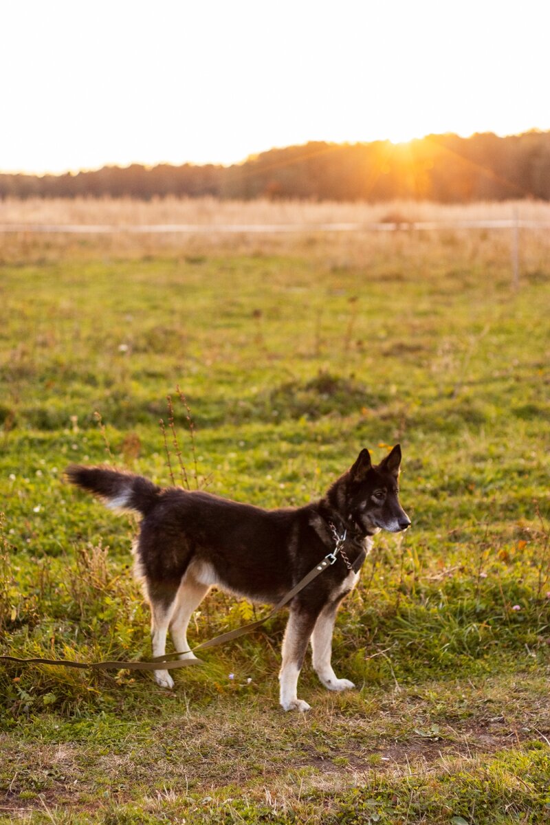 Руслан. Фотограф iris_ger_photo