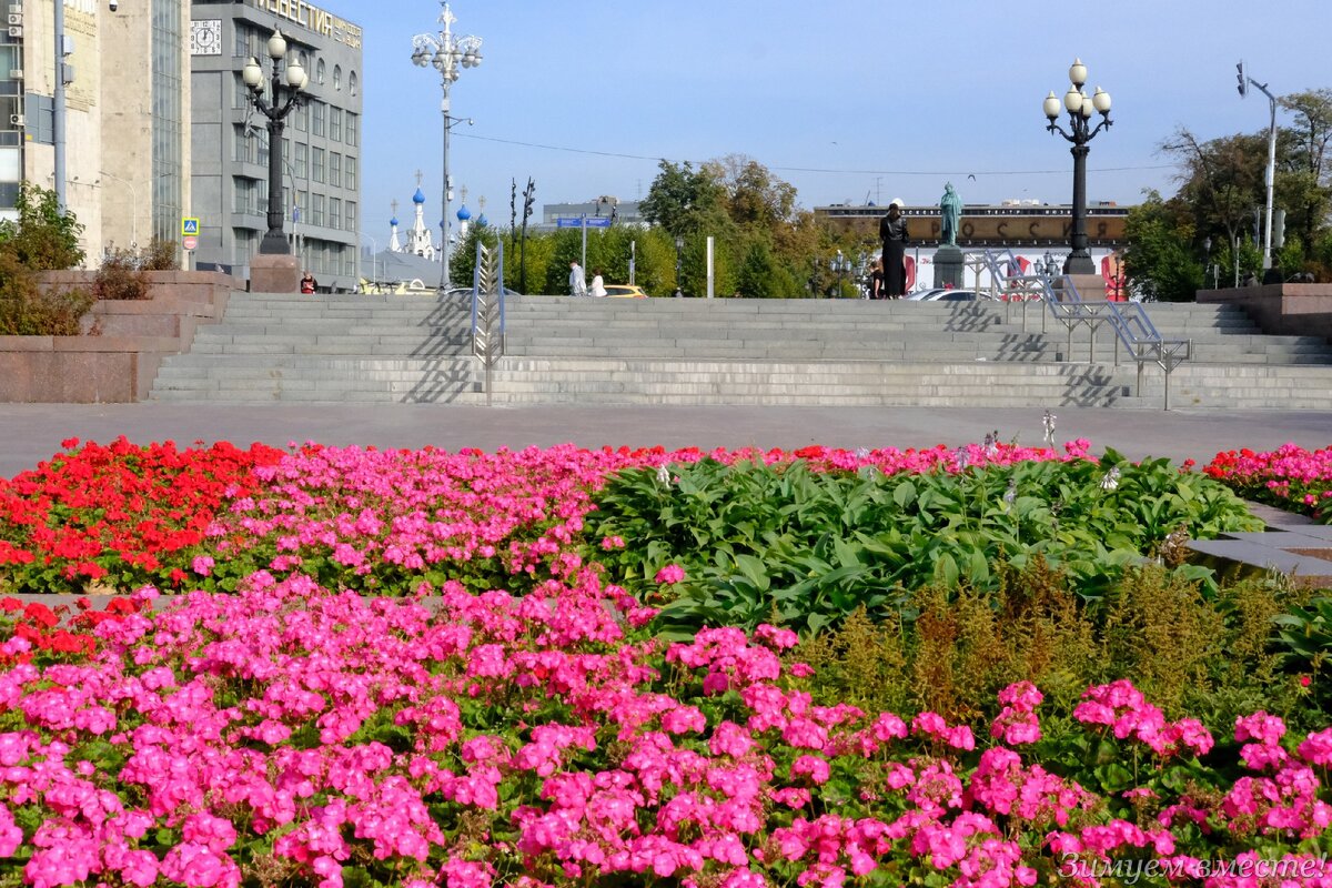 2 фото цветочного великолепия. 