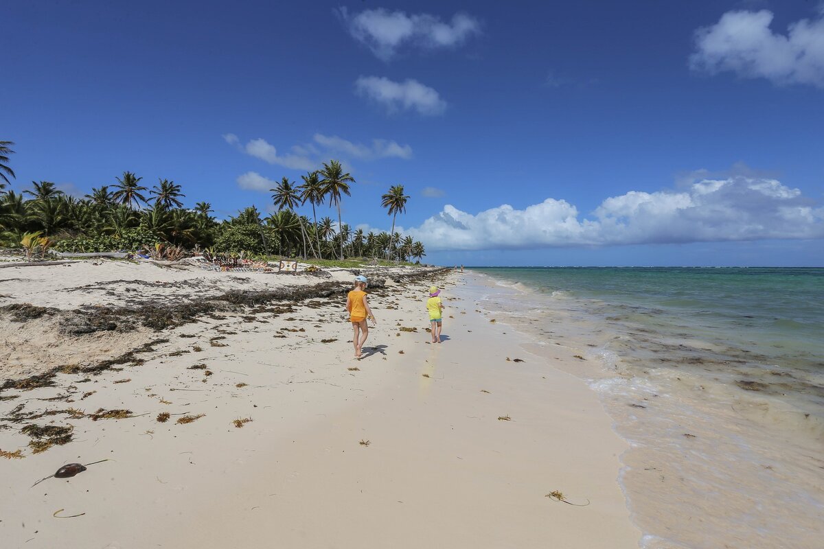 Источник: Pixabay.com