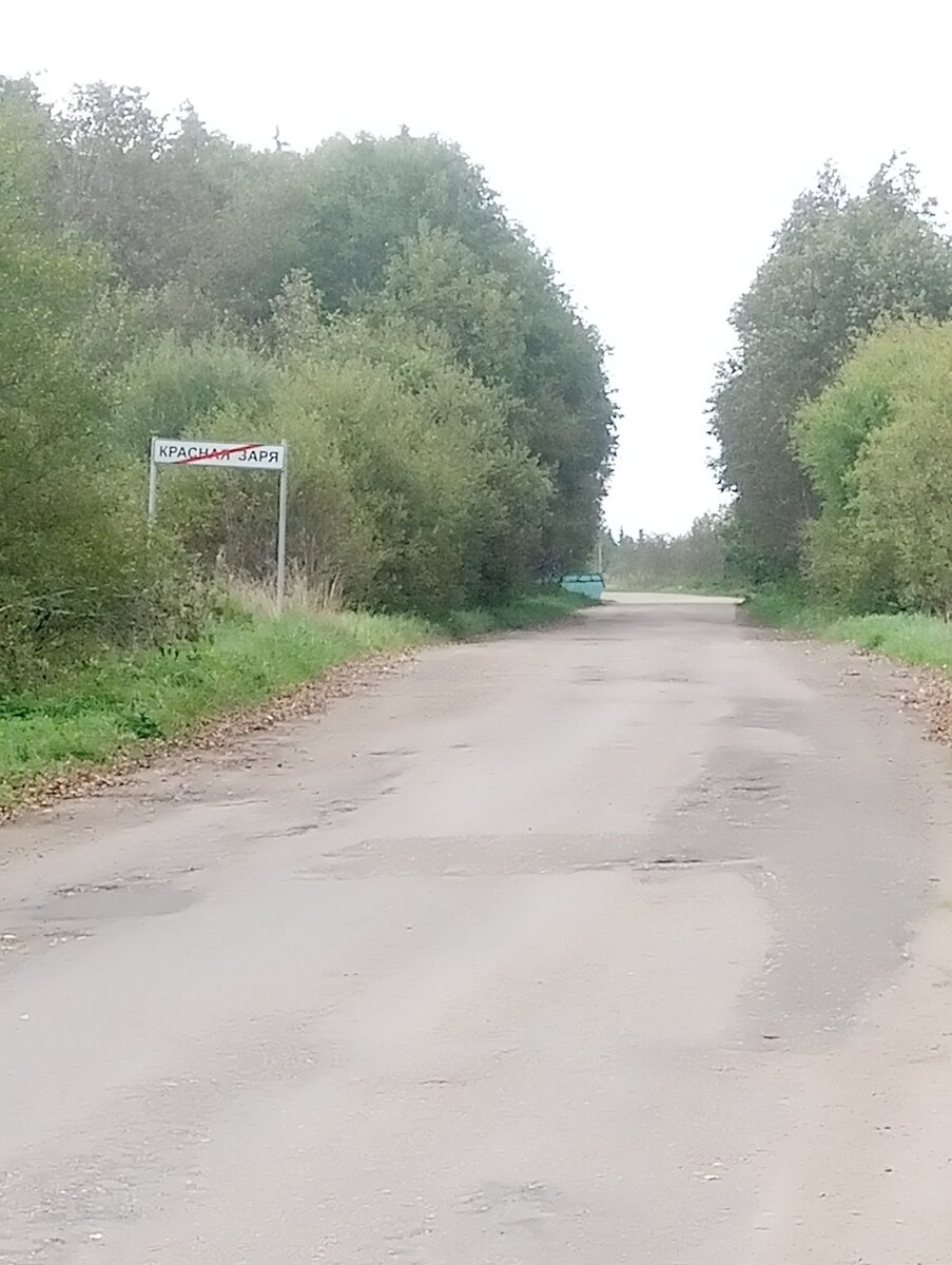 Фото автора. Просто для красоты:))