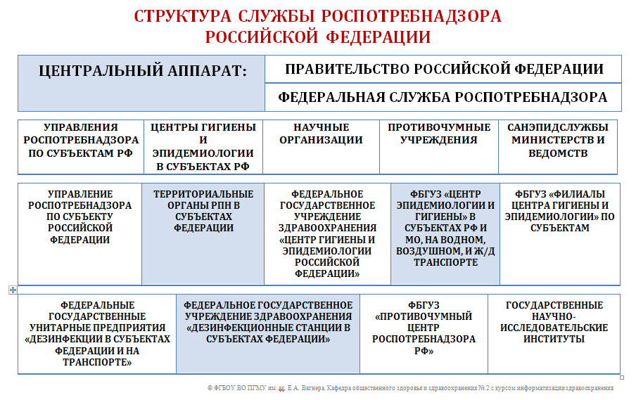 Государственное учреждение центр государственного санитарно. Структура Роспотребнадзора РФ схема. Структура службы Роспотребнадзора РФ. Структура управления Роспотребнадзора. Органы управления и учреждения Роспотребнадзора основные функции.