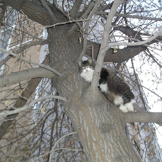 © All rights reserved.