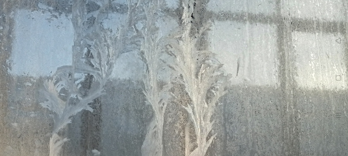 (Личное фото автора)