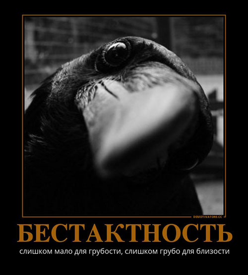 Фото из открытых источников.
