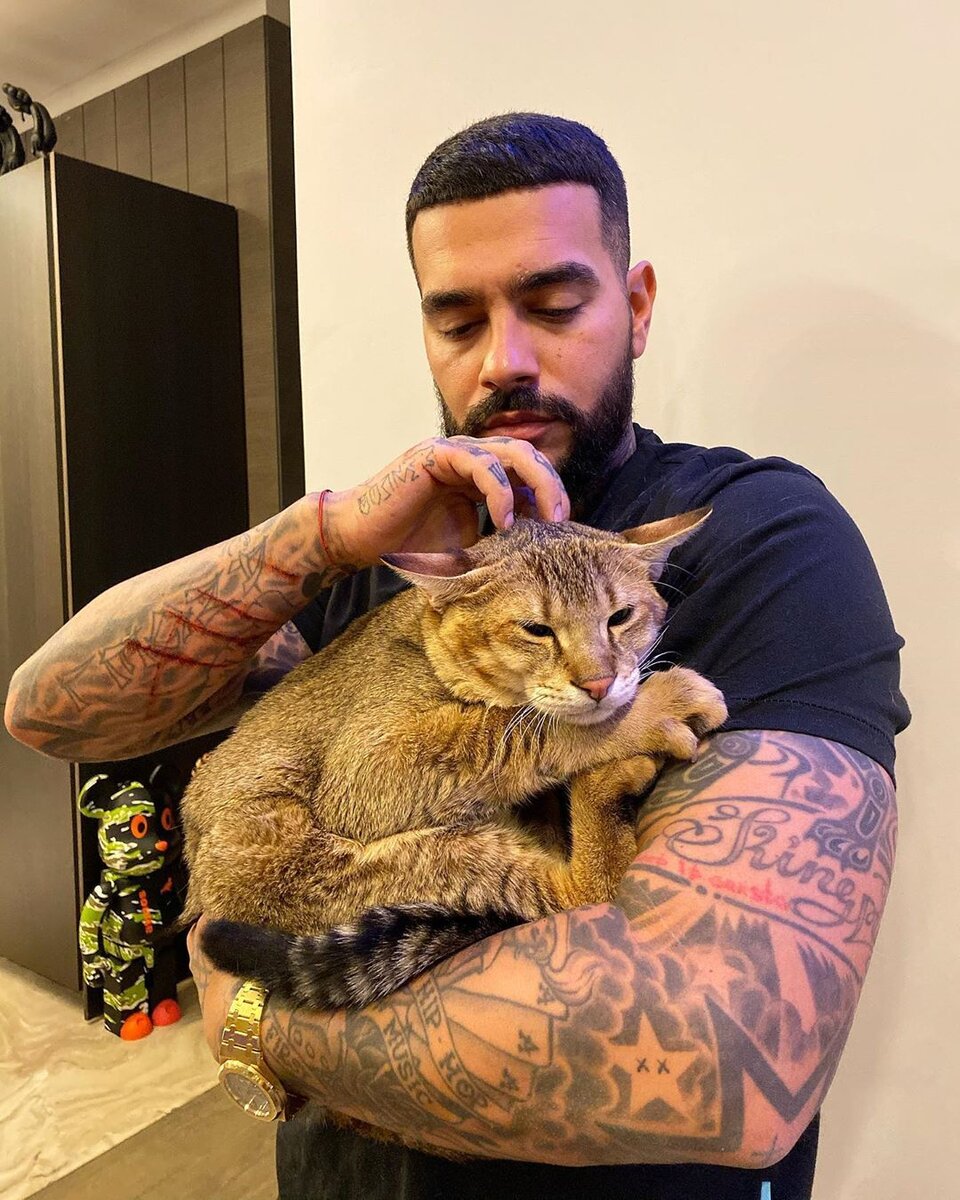 Фото из открытых источников