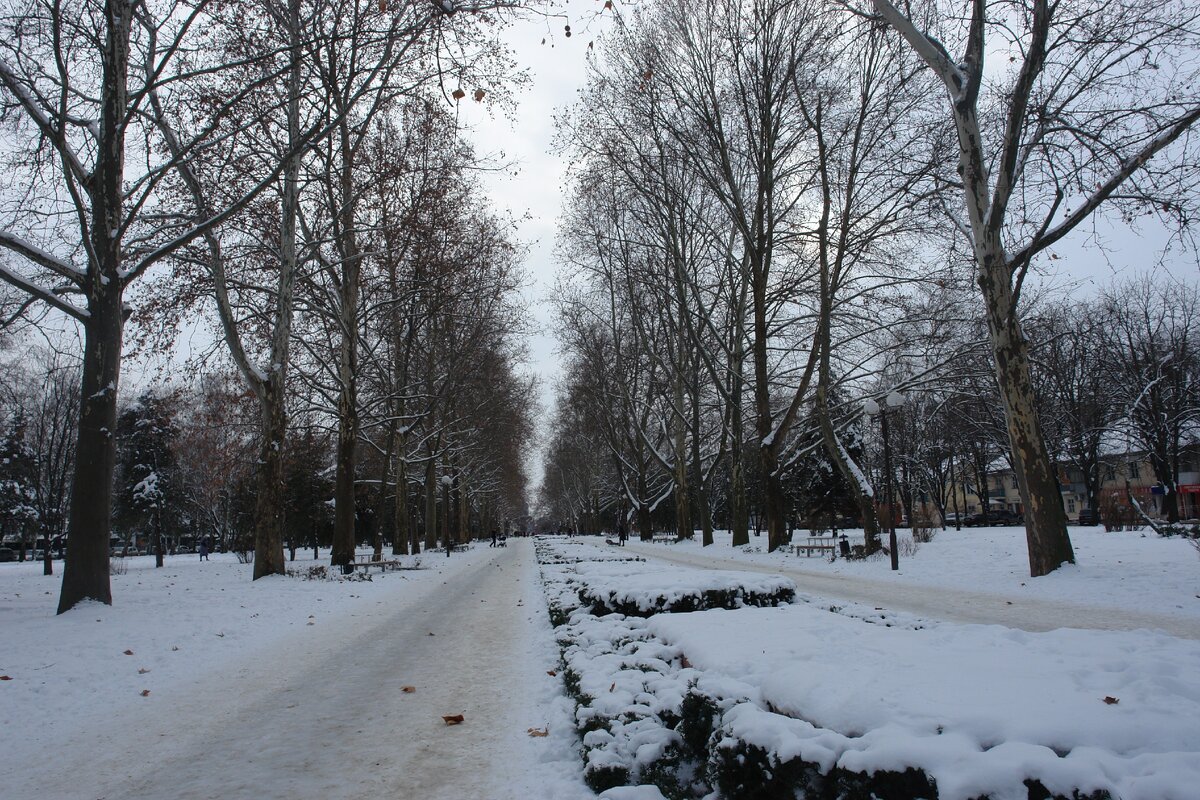 Зима в краснодаре. Фото автора.