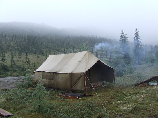 Фото Яндекс.