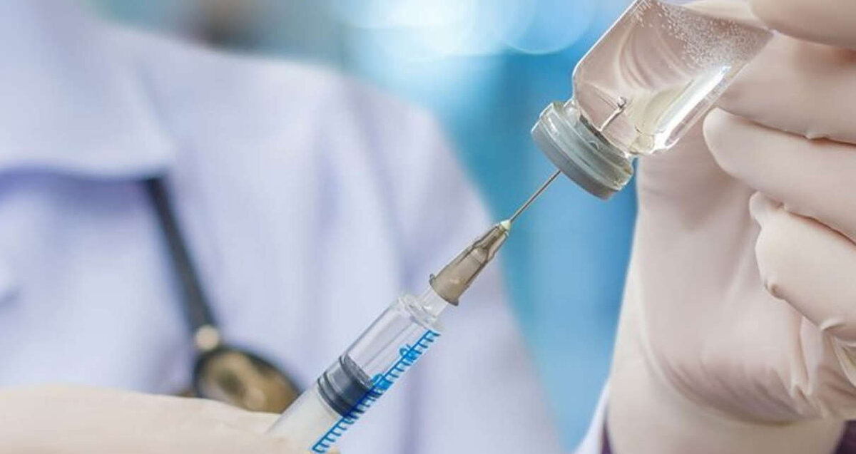 Фото из Яндекс. Картинки