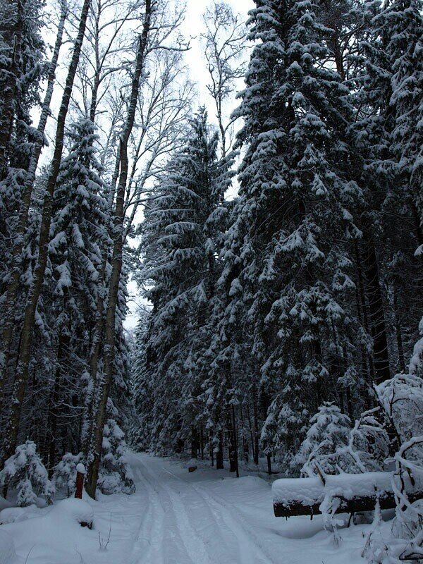 В тот год осенняя погода Стояла долго на дворе,
Зимы ждала, ждала природа.
Снег выпал только в январе.
Так писал ещё А. С Пушкин. Он не был ни фитопатологом, ни биологом.. Он не предполагал, что и 200 лет спустя снега зимой не будет, просто написал так в «Онегине». Мы же смотрим на подобное не с точки зрения поэта, но также сожалеем, поскольку понимаем, что грибные и бактериальные инфекции ( споры патогенов) прекрасно перезимуют при такой погоде. И только те, кто проведёт раннее-весенние профилактические обработки АБИГА  ПИК®, смогут максимально минимизировать нежелательные последствия таких тёплых зим. Как обработать, с какой нормой, в какие сроки? Следите за нашими публикациями.
